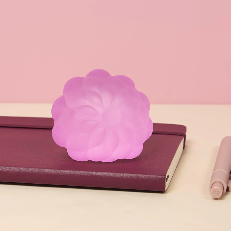 Gump Surface 2-Pack - Image 8